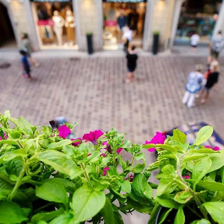招待所 In Centro Luxury 科莫